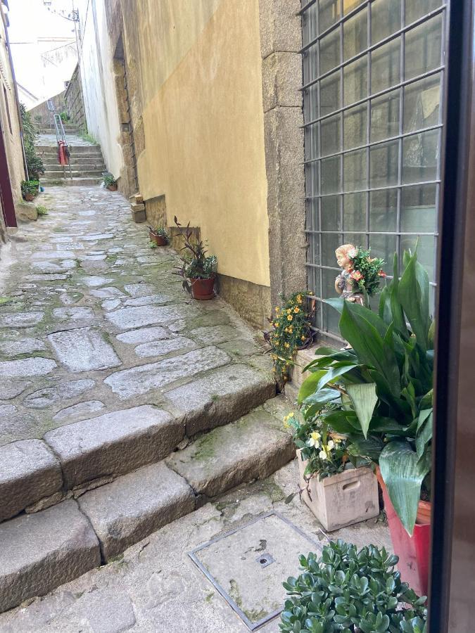 Ribeira Art Terrace Διαμέρισμα Πόρτο Εξωτερικό φωτογραφία